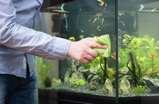 Aquarium Services