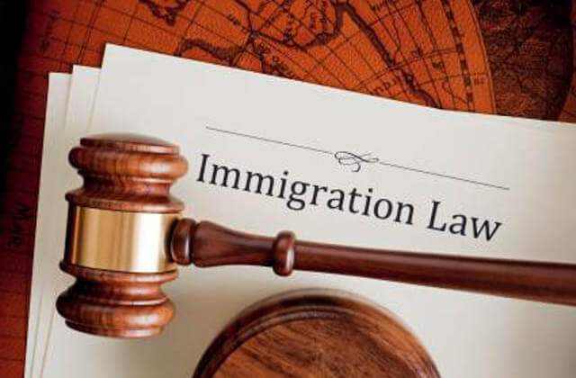 Immigration Attorney